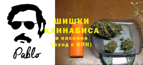 стаф Липки