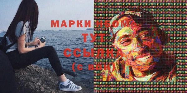 стаф Липки