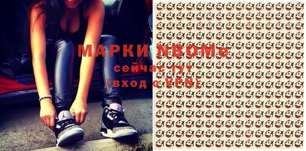 стаф Липки