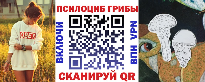 МЕГА ССЫЛКА что такое наркотик Чебаркуль Псилоцибиновые грибы Cubensis